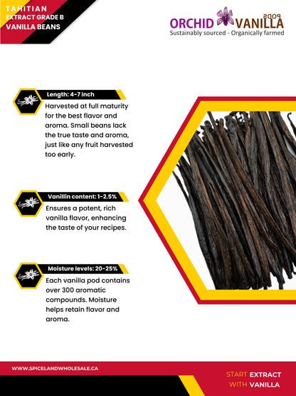Tahitian Extract Vanilla Beans Grade-B <br>For Extract Making<BR>By Count