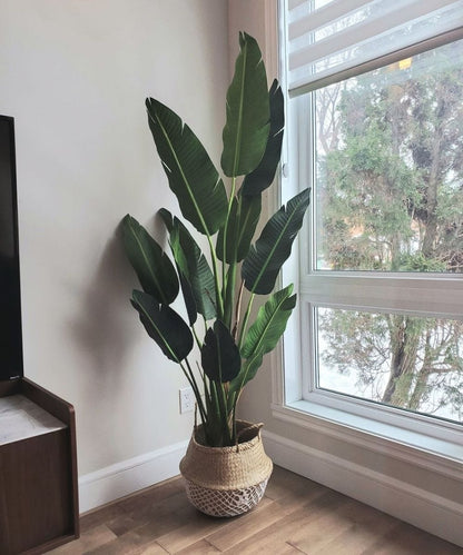 Plante en pot Zapo Oiseau de Paradis Artificiel (Plusieurs Tailles)