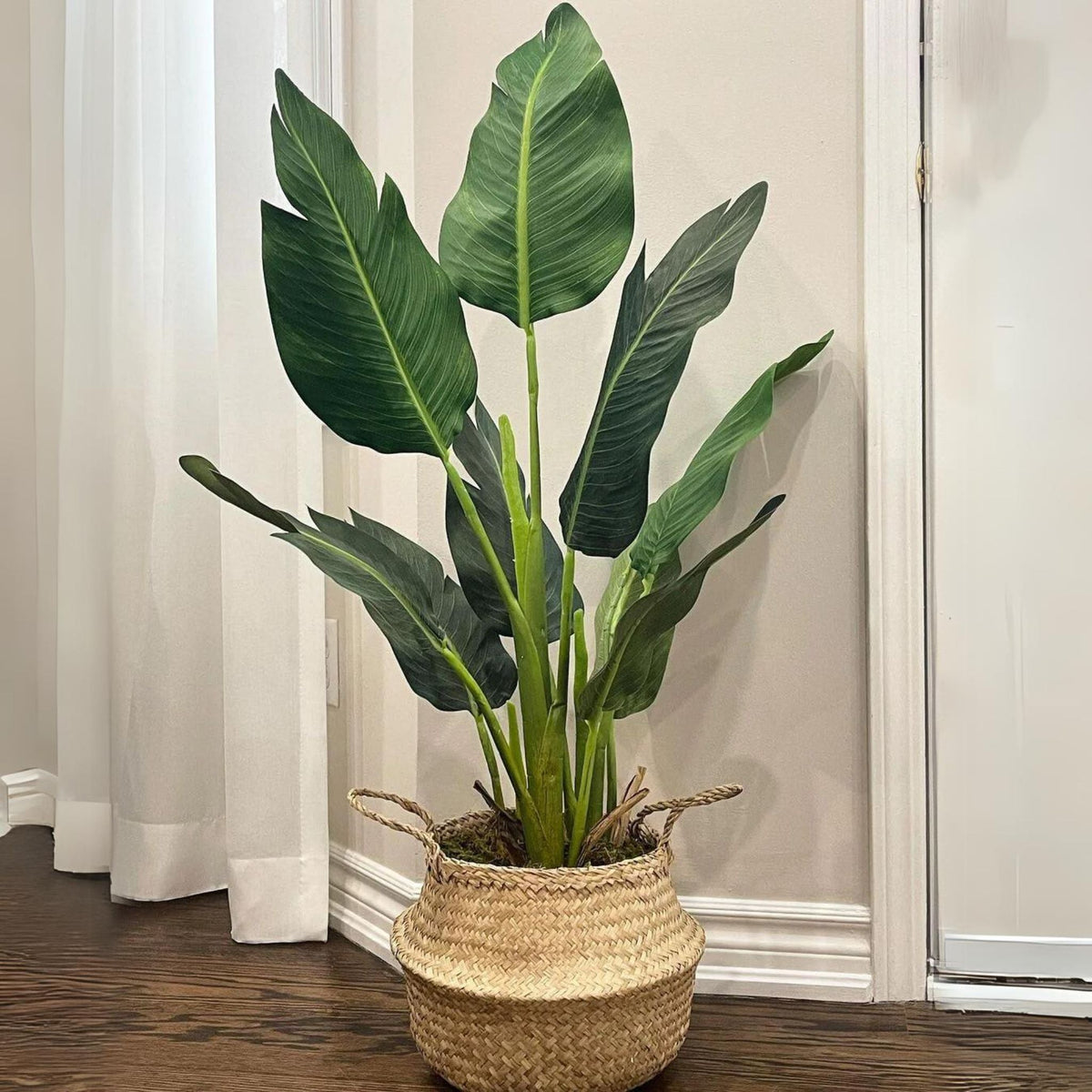Plante en pot Zapo Oiseau de Paradis Artificiel (Plusieurs Tailles)