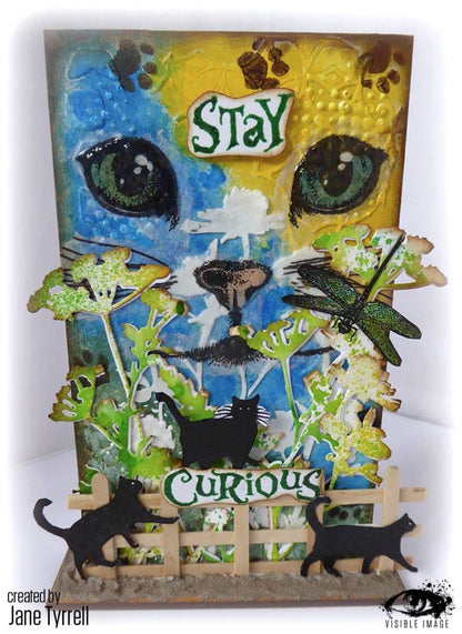 Visible Image Curious Cats - Set de Tampons A6