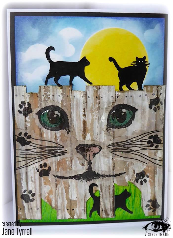 Visible Image Curious Cats - Set de Tampons A6