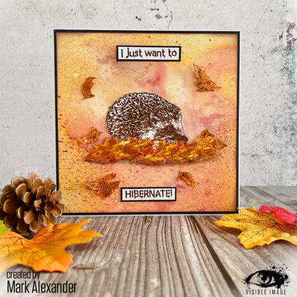 Visible Image Hedgehog Hugs - A6 Stamp Set