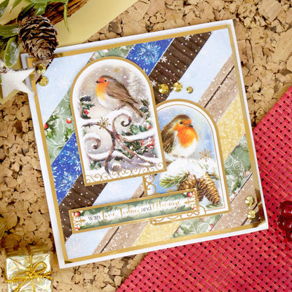 Inserts et papiers de luxe Winter Robins