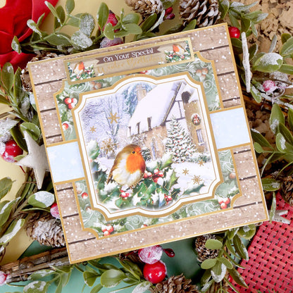 Inserts et papiers de luxe Winter Robins