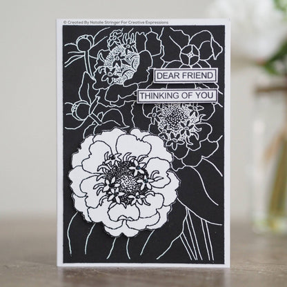 Tampon Boisware Clear Singles Zinnia 10 x 15 cm