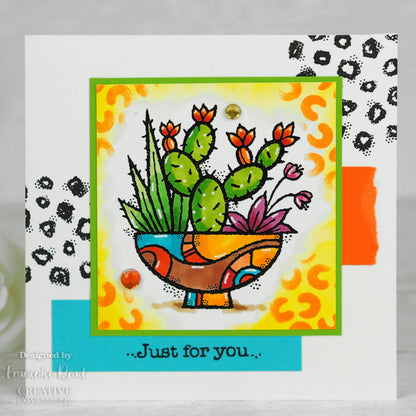 Woodware Clear Singles Tampon Affichage de Succulentes 10 x 10 cm