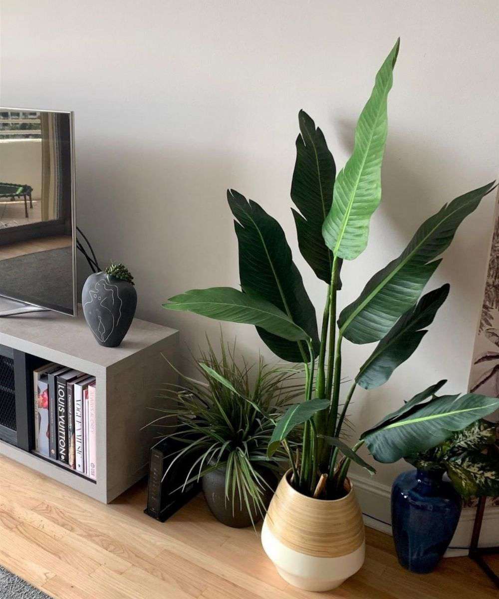 Plante en pot Zapo Oiseau de Paradis Artificiel (Plusieurs Tailles)