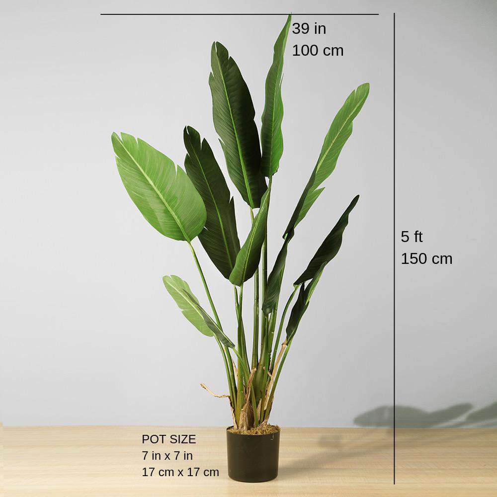Plante en pot Zapo Oiseau de Paradis Artificiel (Plusieurs Tailles)