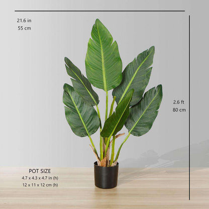 Plante en pot Zapo Oiseau de Paradis Artificiel (Plusieurs Tailles)