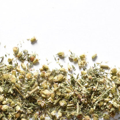 Achillée millefeuille | Sommité fleurie séchée (Achillea millefolium)