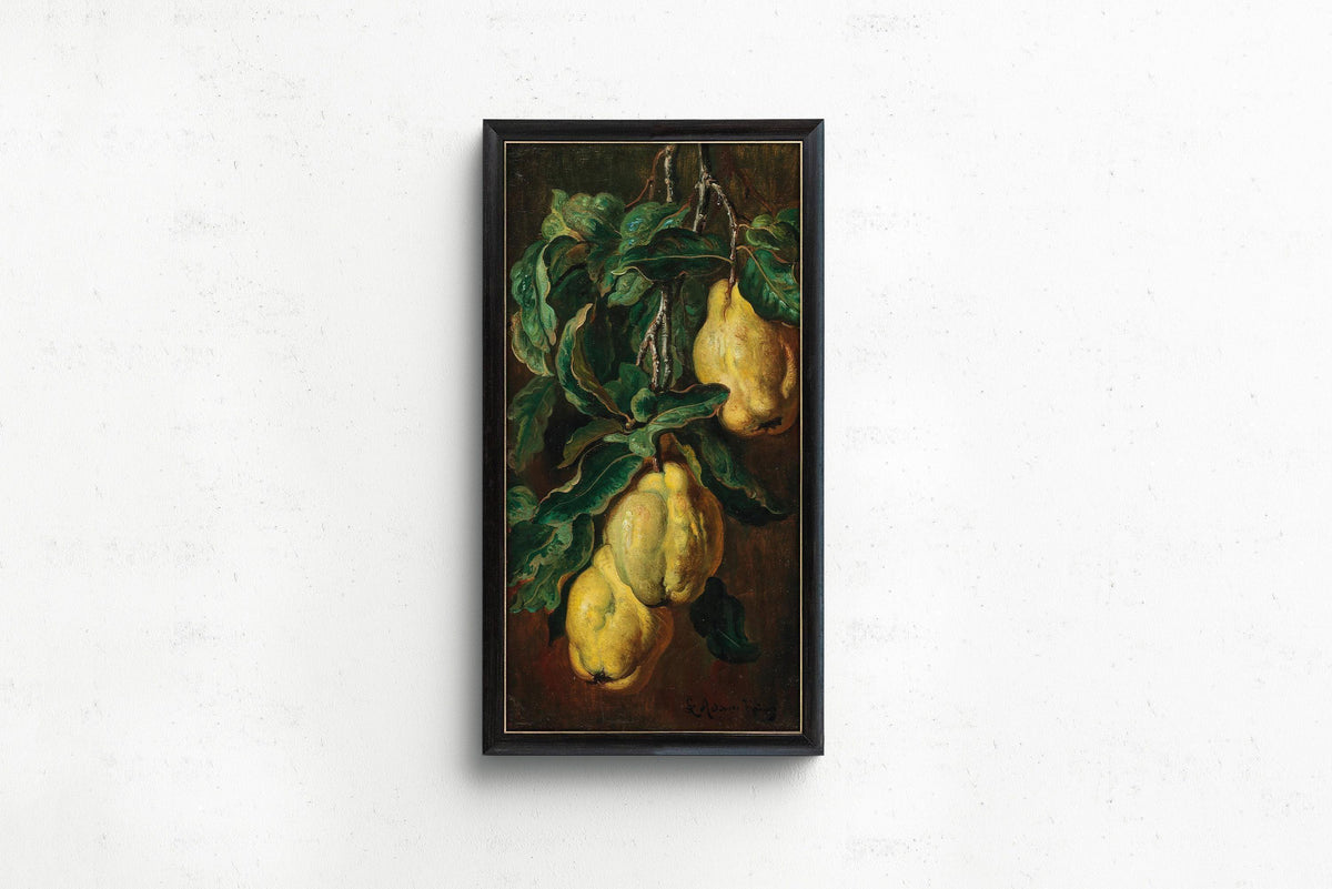 Vintage Quinces Botanical Art Print: Adam Ludwig Kunz, Victorian Fruit Still Life