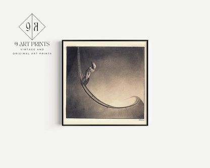 Alfred Kubin - Homme | Art Esotérique Surréaliste Symboliste Monochrome Célèbre (disponible encadré à la main ou non encadré) 1x1