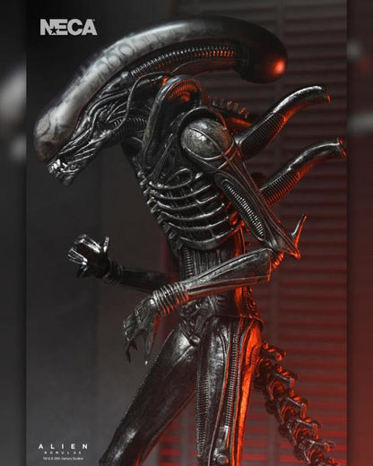 Alien: Romulus Ultimate Xenomorph XX121