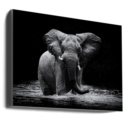 Wall art Power 1. Elephant