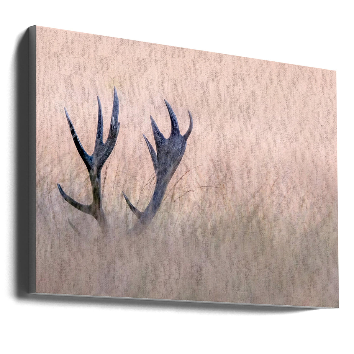 Wall art Hide & Seek ( Horn of Stag)