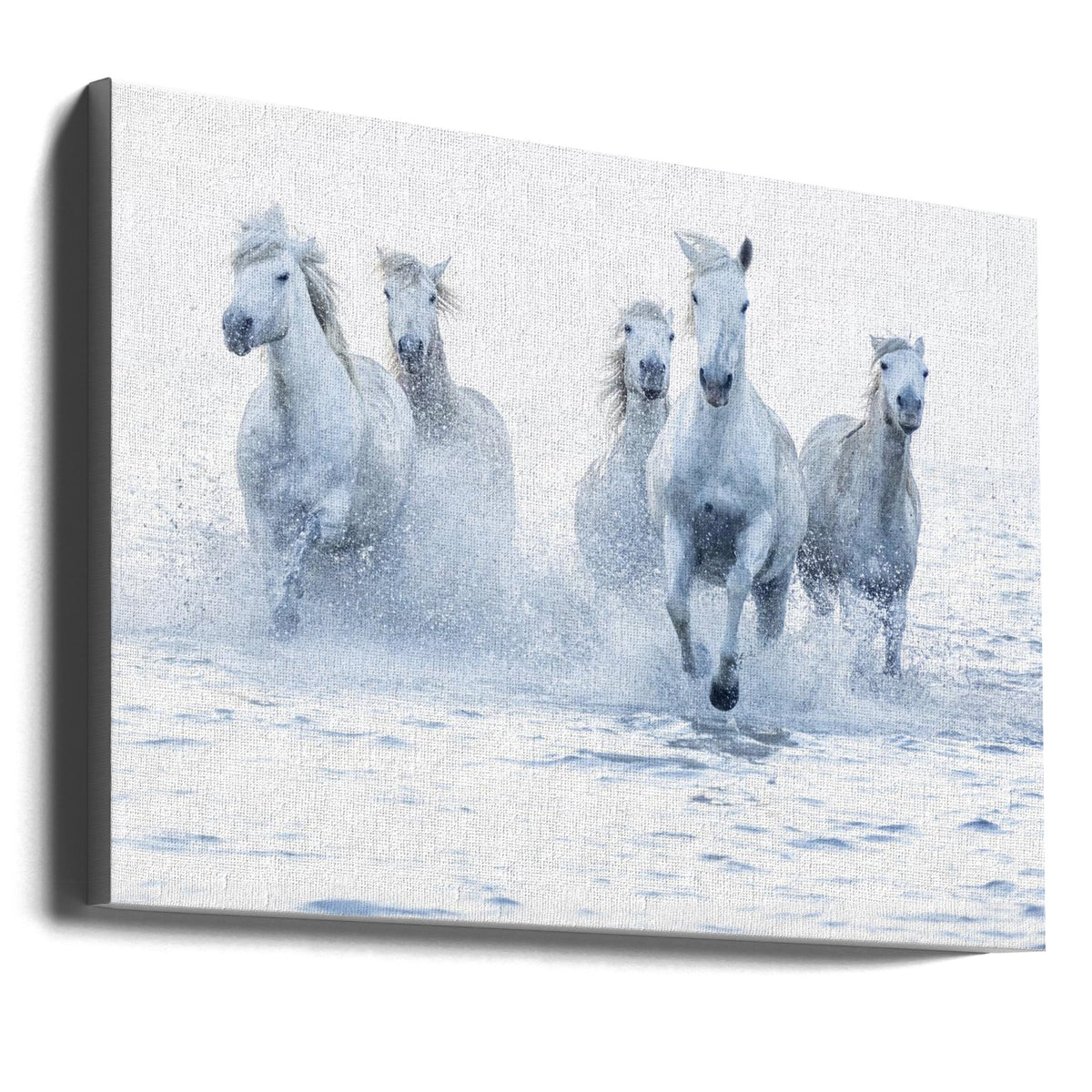 White Horses Running Through Water Canvas Wall Art | Horses on the Run