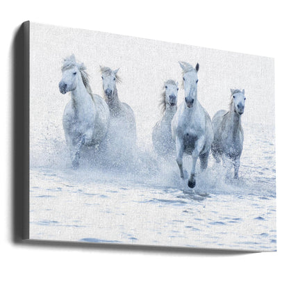 White Horses Running Through Water Canvas Wall Art | Horses on the Run