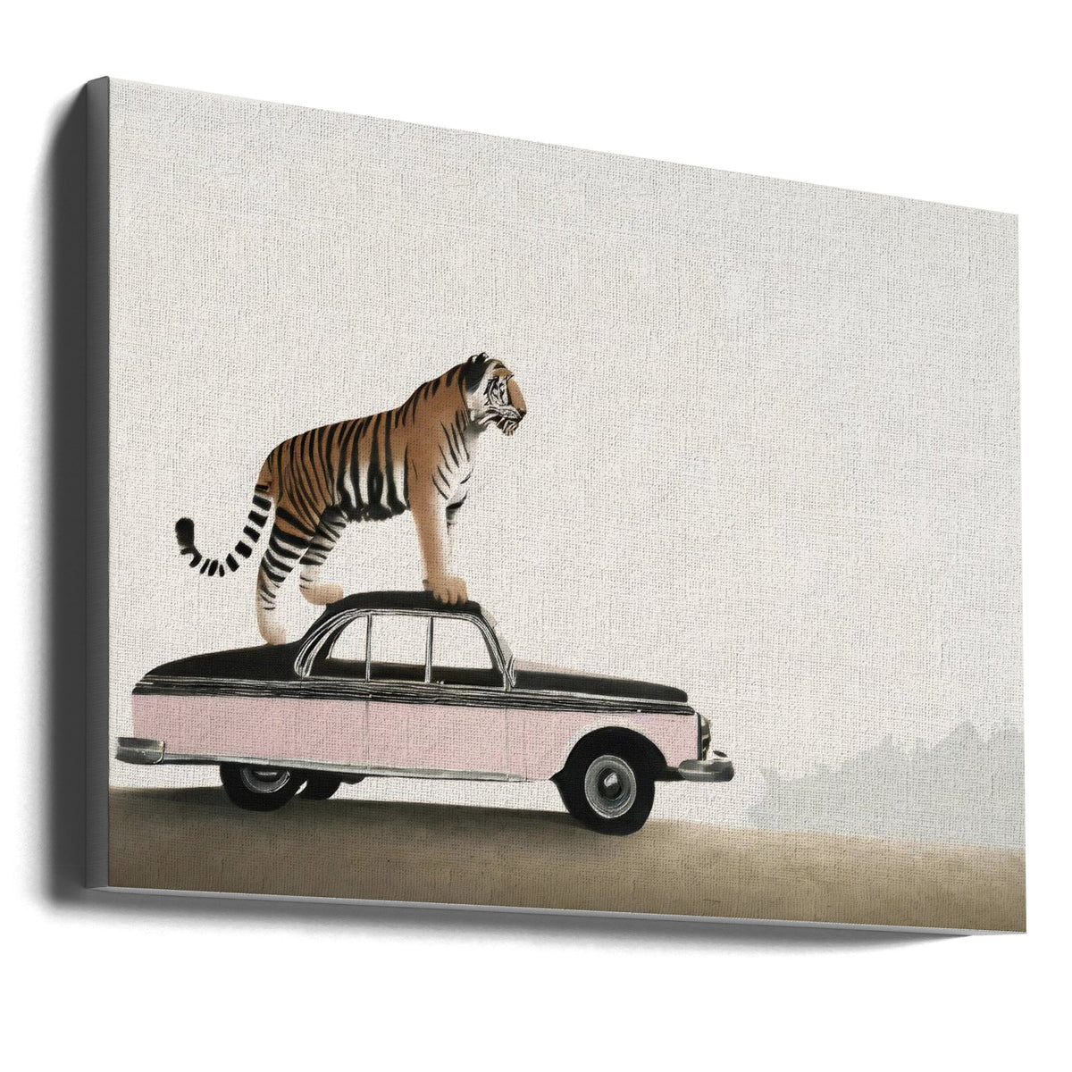 Tiger Standing on a Vintage Car Canvas Wall Art | Tiger on a car roof