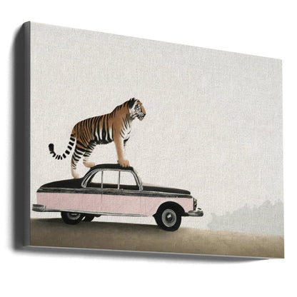 Tiger Standing on a Vintage Car Canvas Wall Art | Tiger on a car roof