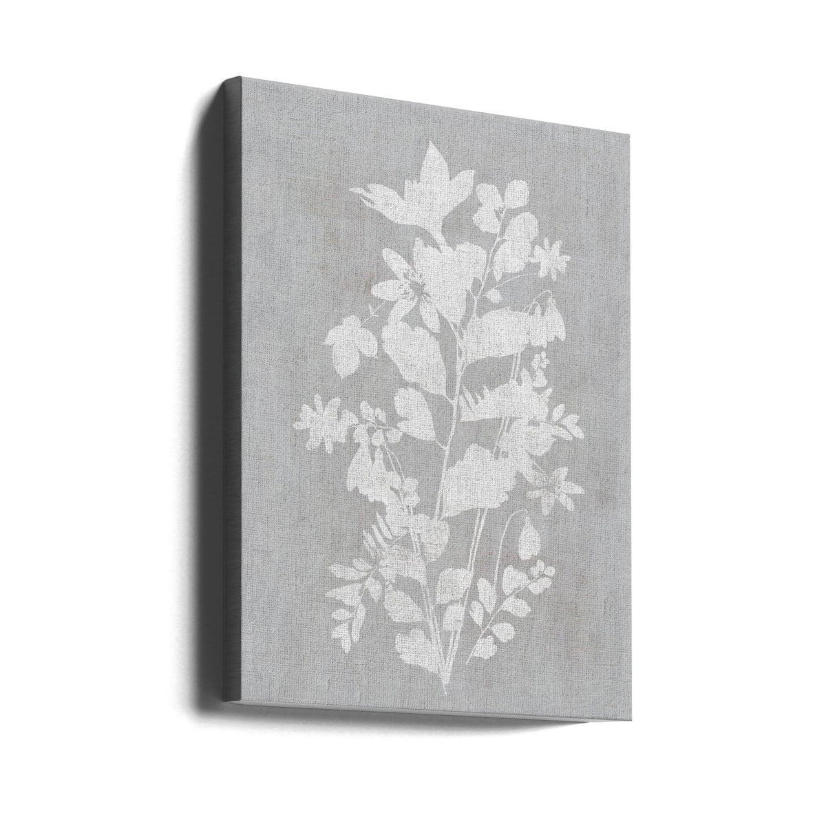 Wall art Botanical Illustration 2