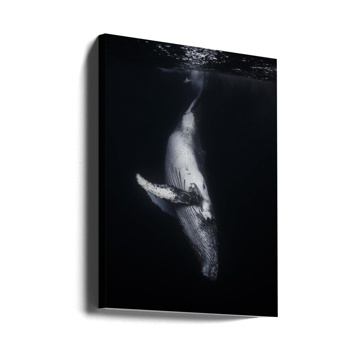 Art mural-Baleine noire