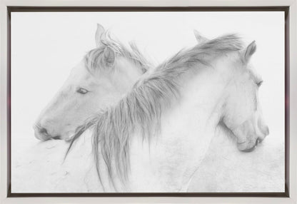 Chevaux