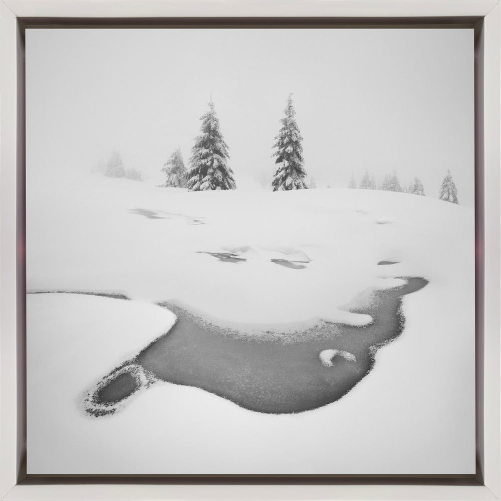 Wall art Frozen swamps