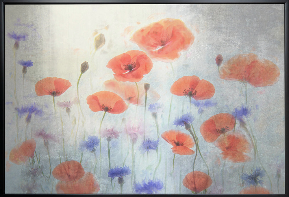 Wall Art Poppy