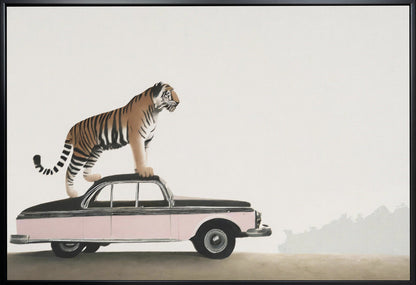 Tiger Standing on a Vintage Car Canvas Wall Art | Tiger on a car roof