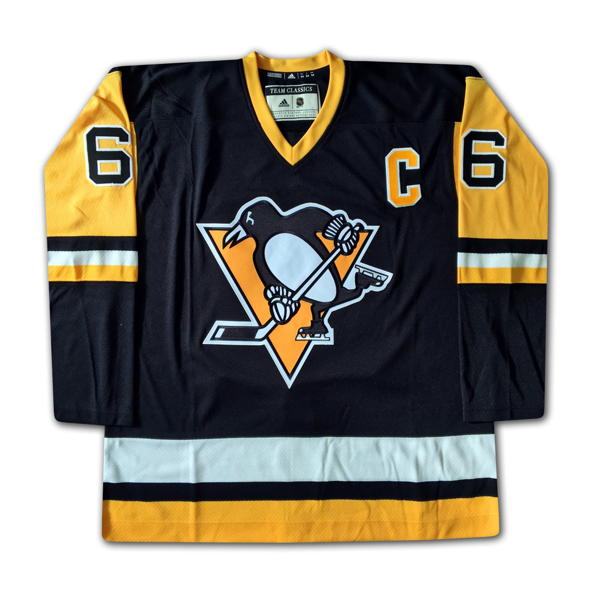 Mario Lemieux Pittsburgh Penguins Career Jersey /166