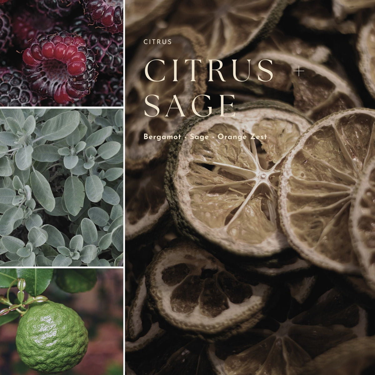 Gourmand, Fruit & Citrus Candles 10 oz.