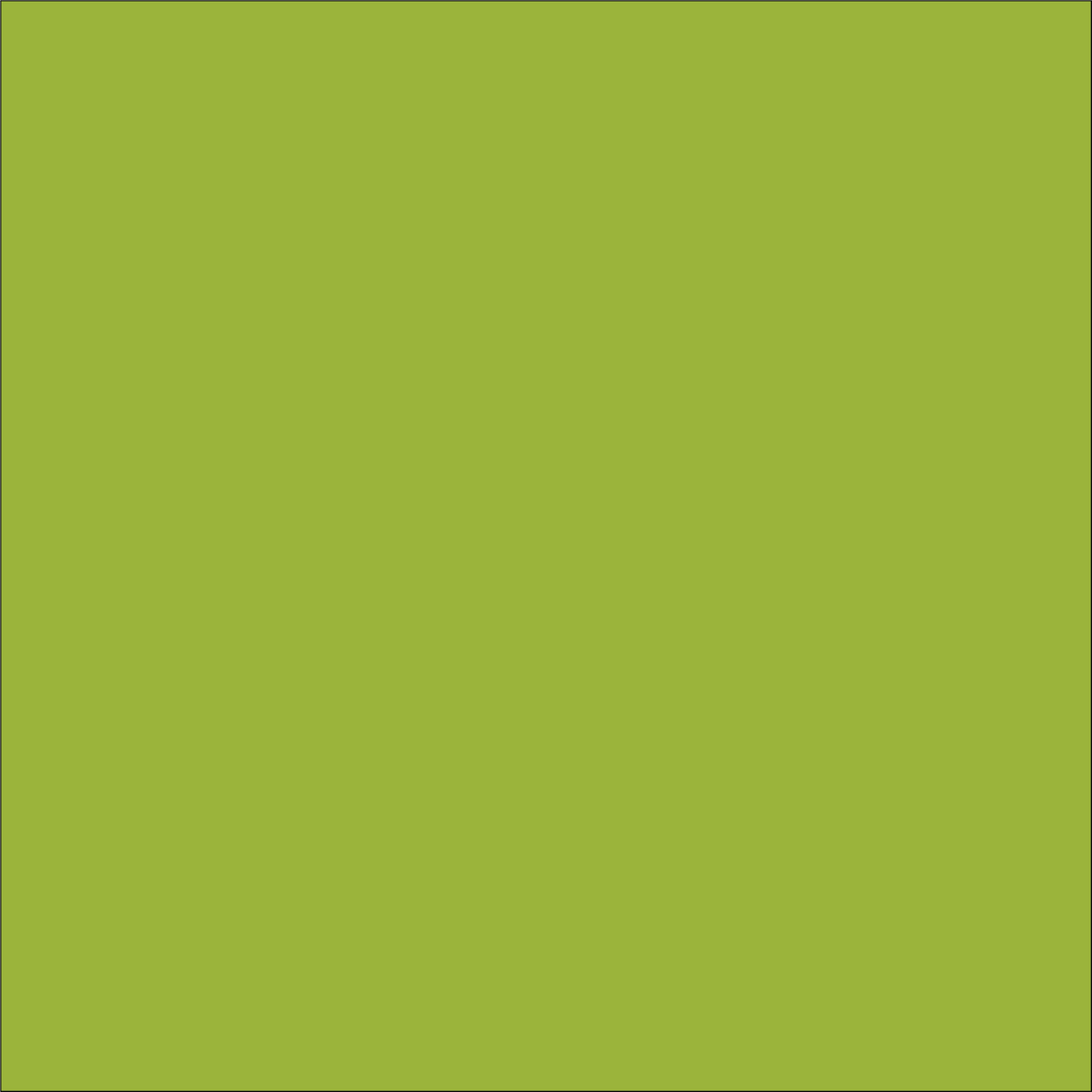 Rouleaux de vinyle thermocollant Craft Lime de 4,5 po x 150 pieds