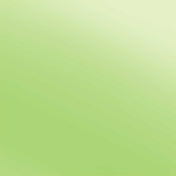 Siser Easyweed Lime Electrique 38 cm