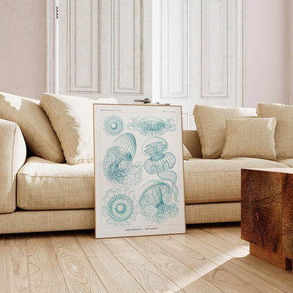 Ernst Haeckel Jellyfish Print: Vintage Marine Life Art