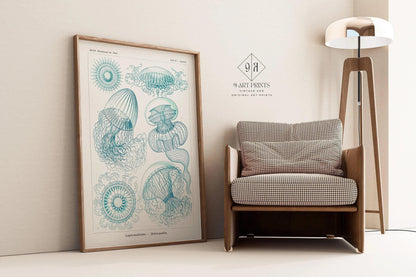 Ernst Haeckel Jellyfish Print: Vintage Marine Life Art