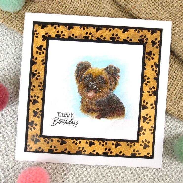 Pour l'amour des timbres - Yorkshire Terrier à couches