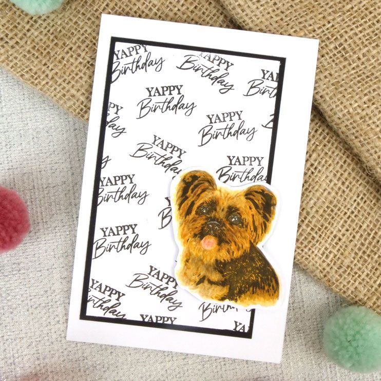 Pour l'amour des timbres - Yorkshire Terrier à couches