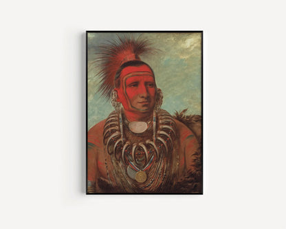 George Catlin Print: Little Wolf, Native American Portrait Art