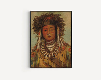 Ojibway Boy Chief Art Print: George Catlin Native American Portrait