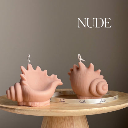 Bougie de soja coquillage : Coquille de palourde décorative, Cadeau végétalien unique