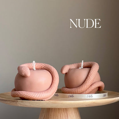 Bougie de soja serpent-pomme : Décoration d'intérieur végétalienne faite à la main