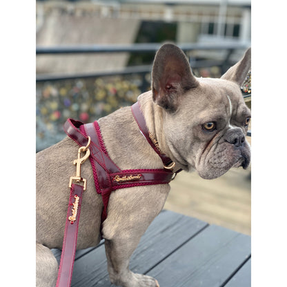 Harnais pour chien à clipser — Vin rouge