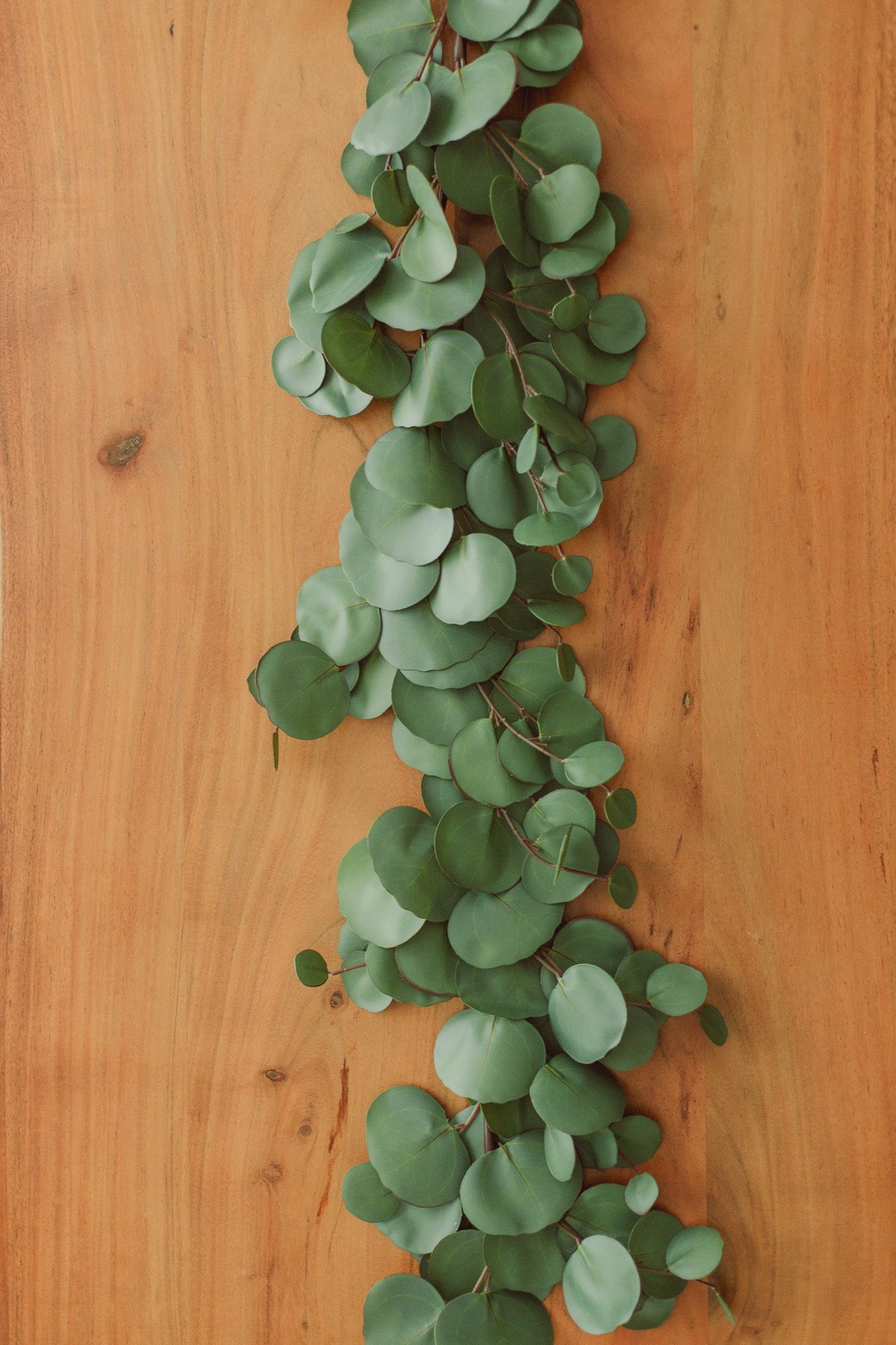 Guirlande d'eucalyptus presque vraie (artificielle)