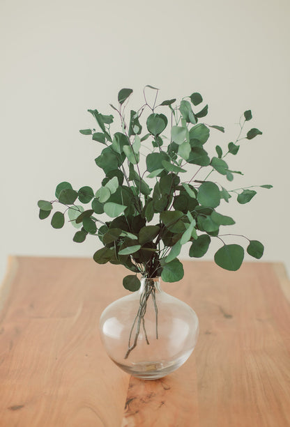 Bouquet d'eucalyptus Dollar d'argent stabilisé