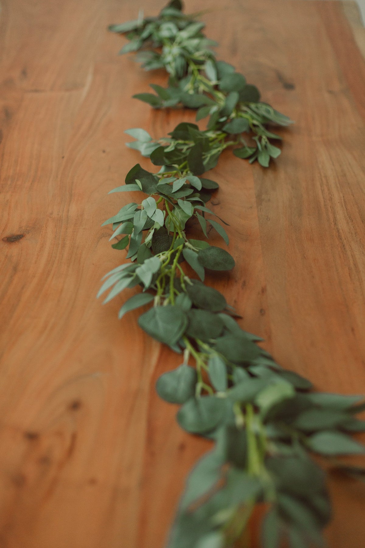 Eucalyptus + saule argenté (artificiel)