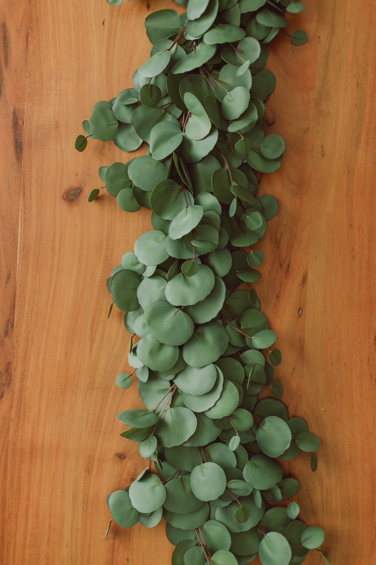 Guirlande d'eucalyptus presque vraie (artificielle)
