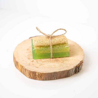 Éponge de Loofah : Avocat