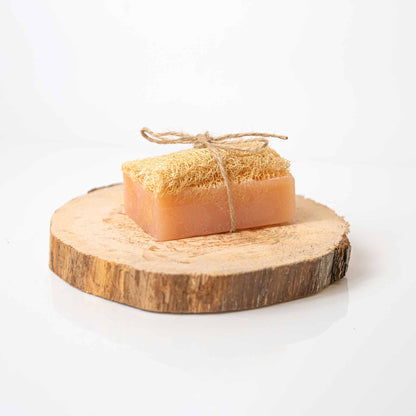 Savon Luffa : Cannelle