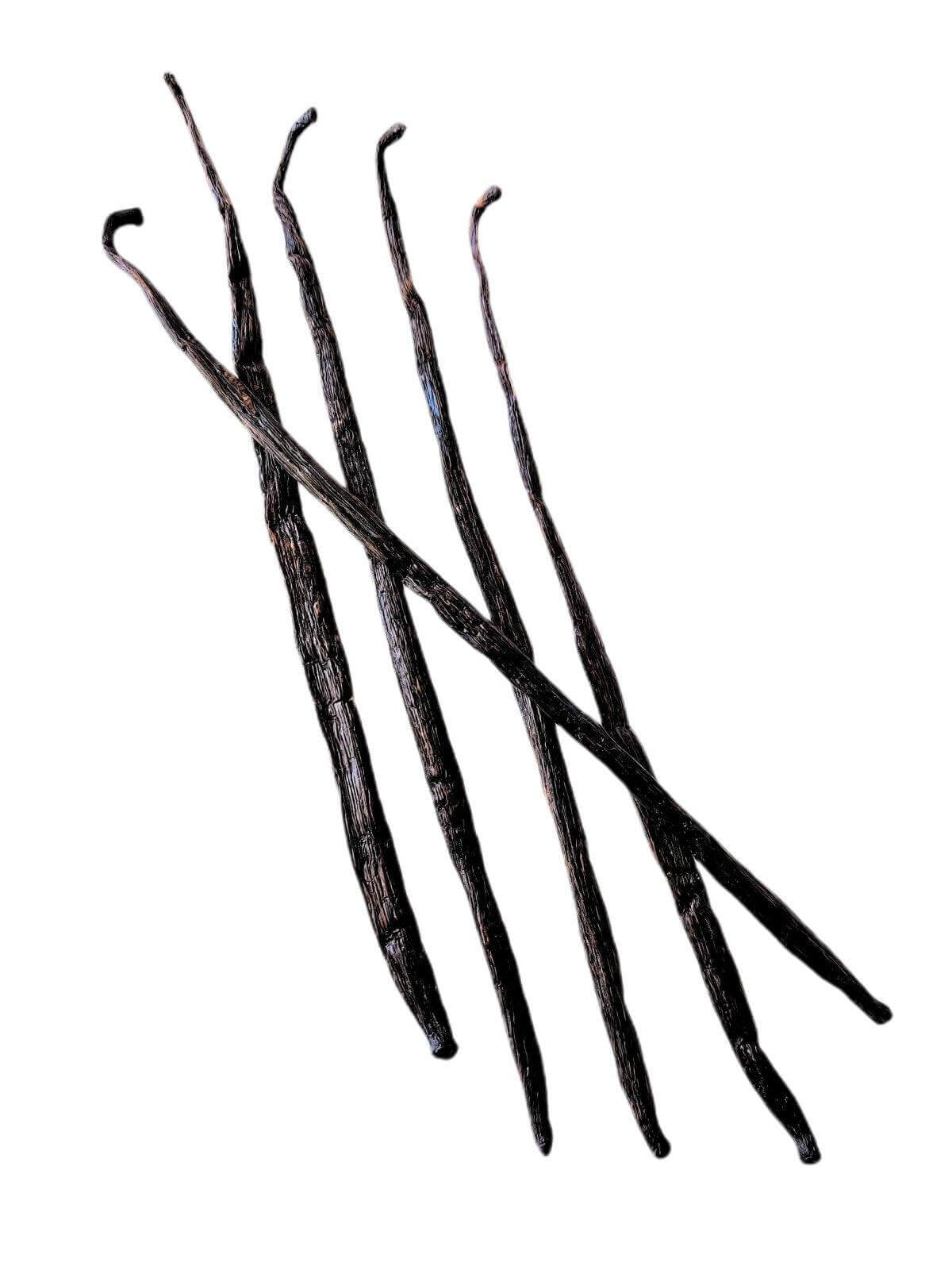 Gousses de vanille de Madagascar Bourbon de catégorie B <br>Pour la fabrication d'extraits<BR>Par quantité