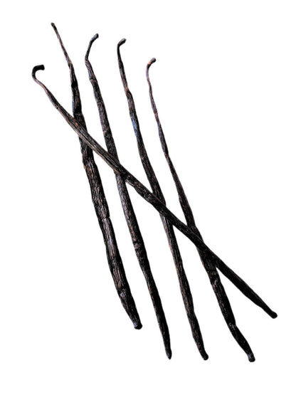 Gousses de vanille de Madagascar Bourbon de catégorie B <br>Pour la fabrication d'extraits<BR>Par quantité